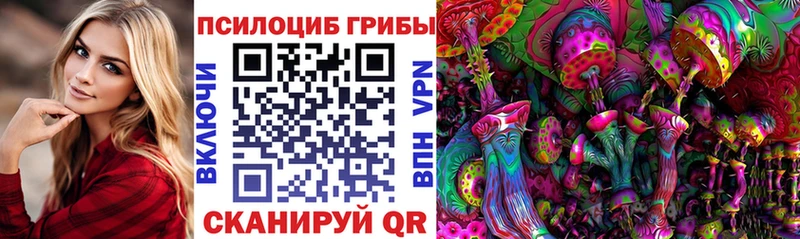 Псилоцибиновые грибы GOLDEN TEACHER  Зея 